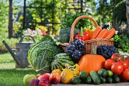 德清農(nóng)副產(chǎn)品特色美食歡樂購(gòu)開啟，新鮮蔬菜等您來選購(gòu)