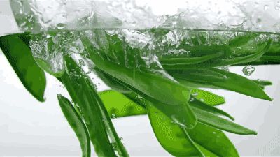 蔬菜學(xué)博士媽媽支招 讓孩子愛上吃菜的秘訣與蔬菜趣味科普