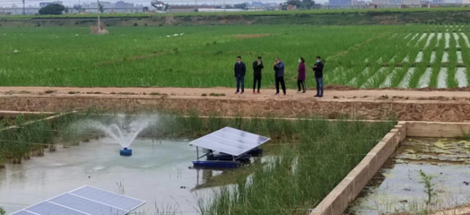 陸良縣強(qiáng)化養(yǎng)殖尾水治理，推動內(nèi)陸水產(chǎn)養(yǎng)殖綠色可持續(xù)發(fā)展