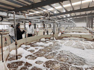 從碧海到餐桌 濱州海水養(yǎng)殖尾水零排放的綠色革命